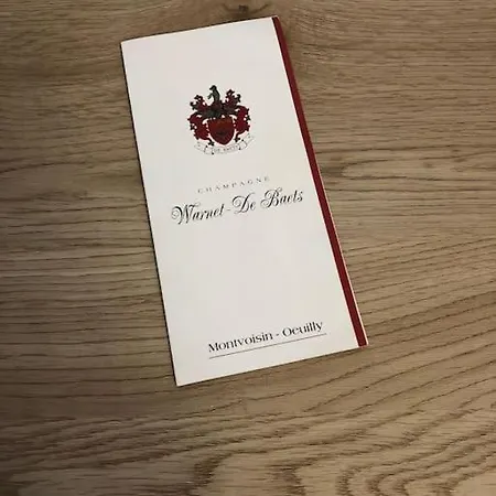 L'ecrin De Lena Lejlighed Épernay